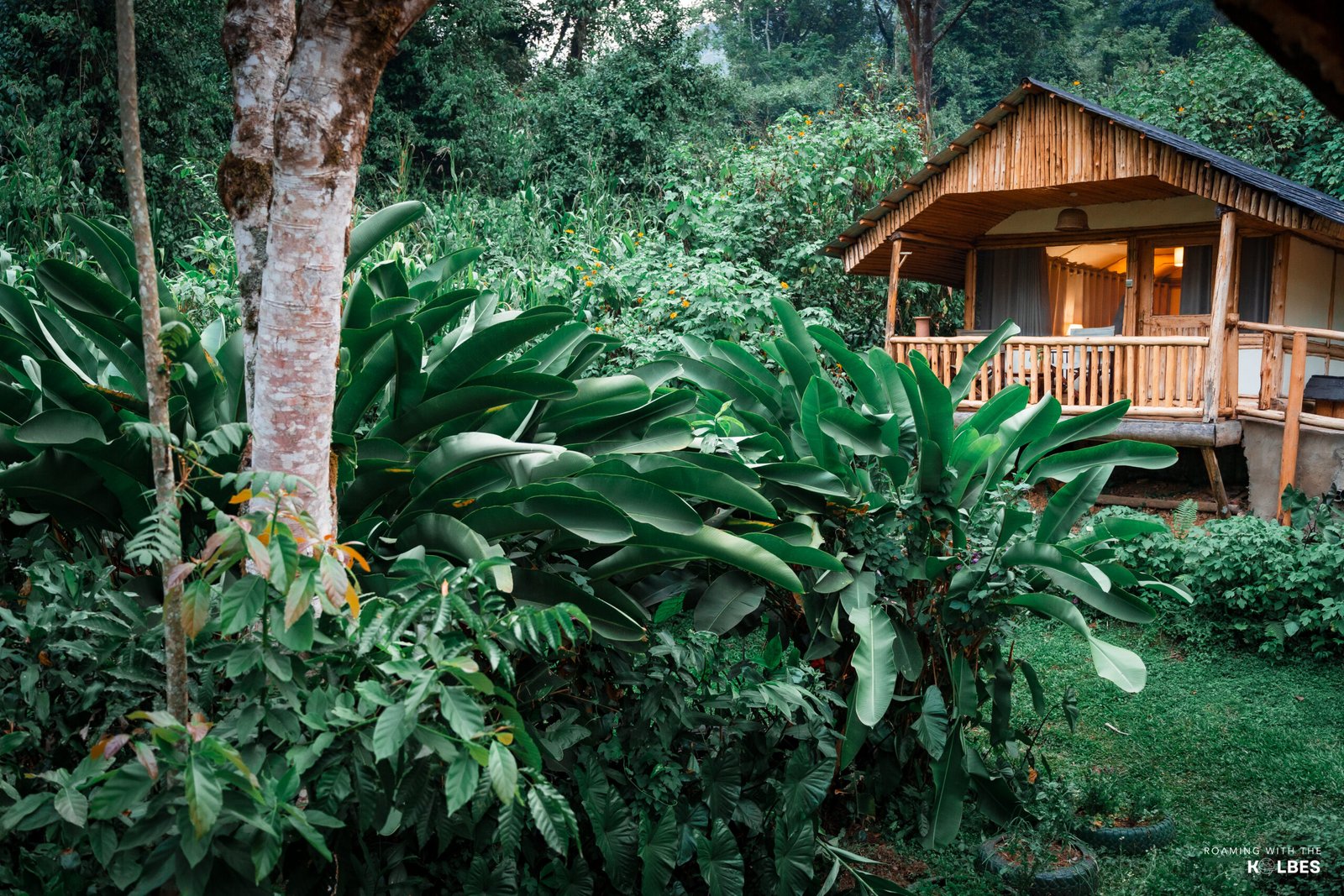 Buhoma Lodge Located in Bwindi Impenetrable Forest. Perfect base for Gorilla Trekking in Uganda